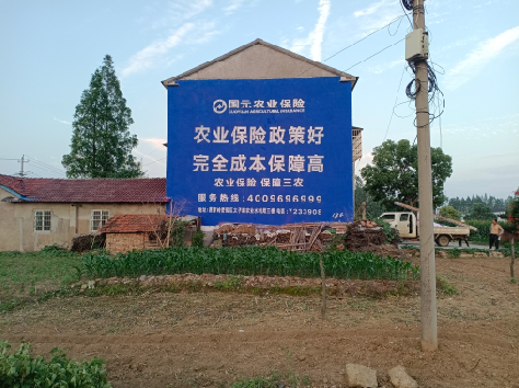 理塘墙体广告的优劣势你知道吗?