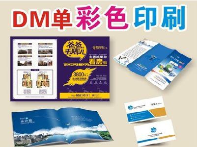 理塘单页印刷，色彩搭配简单。